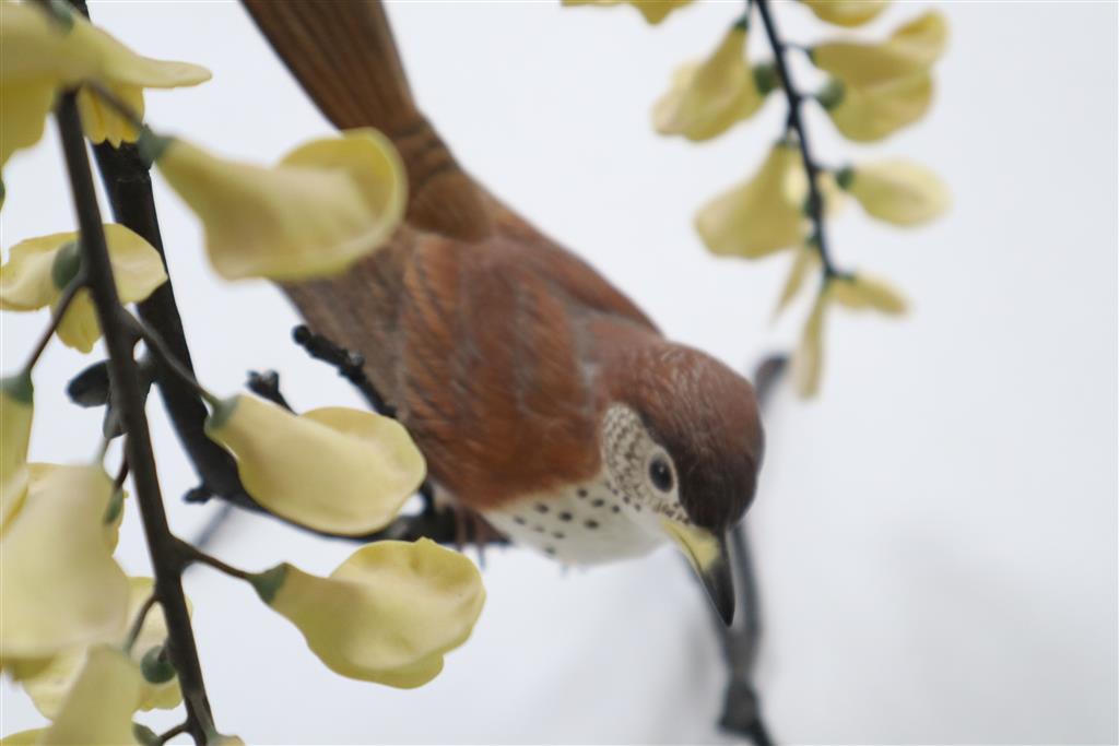 A Boehm model Thrush on a branch with yellow wisteria, and a Coal Tit Thrush on a branch surrounded by lilac wisteria, tallest 29cm